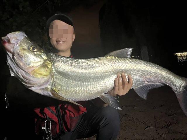 中欧体育登录入口-生态治理还是高价钓鱼？西昌邛海4000元钓鱼年卡引质疑 律师：如此收费无法律依据